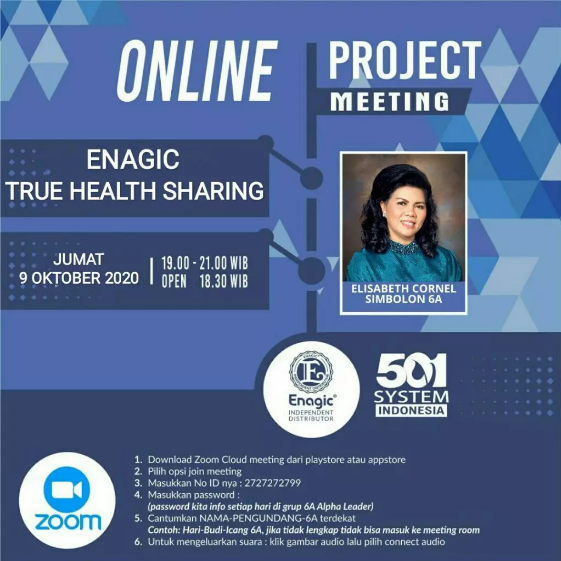 501 System Indonesia Zoom Online Project Meeting 9 Oktober 2020